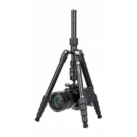 Fotopro X-go Gecko E2 - zestaw, statyw fotograficzny Alu + głowica kulowa FPH-42QP - przykład użycia